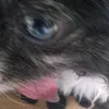 seegurke90