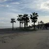 libertad_257