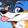 shifterdefoxx