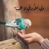 nona99hhhh