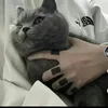 emmaii_5