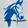 tbourida ain harouda