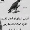 shmalmal