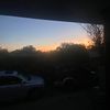baileycampbell42