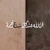 user5568778233521