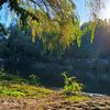 nachita_492
