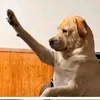 edluve8