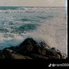ahmed.hamed0434