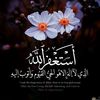 reham1584