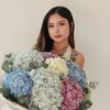 Angelina.kaewta