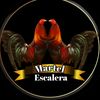 martel.escalera
