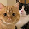 eyna_14420
