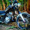 fredy.santy