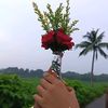 munthaislamruhi1