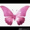 mariposa12.13
