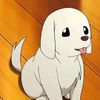 doggy1594