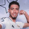 mohsen.salah41