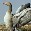 filip1234560