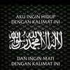 hhaaniq