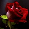 user8717214709124