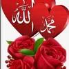shahla.omer0