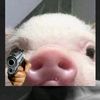 terror2280