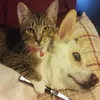 hellokittiiiiiiiiiiiiiii