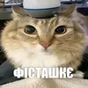 kolia_457