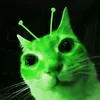 bobvr013