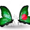 billal.khan7866