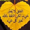 fatimahamze82