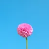lovely_18188