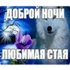 ropop68839