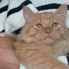 ﮼تبارک🪽🦋