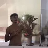 carlos_00_zz