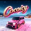 mscocoo2