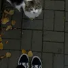 fatima.zahrae523