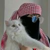 user4471976195761