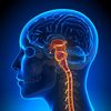spinehealthcare350