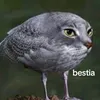 mrky_wh