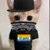 lloyd___7