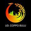CV°COPPO BULU