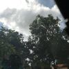 xxxcccc598