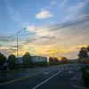 mrfang38