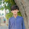 user211887786