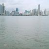 emiliacastillo729