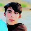 w.b.janin633