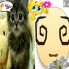 i_love_n.01