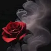 user2814046878176