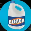 real_mr_bleach